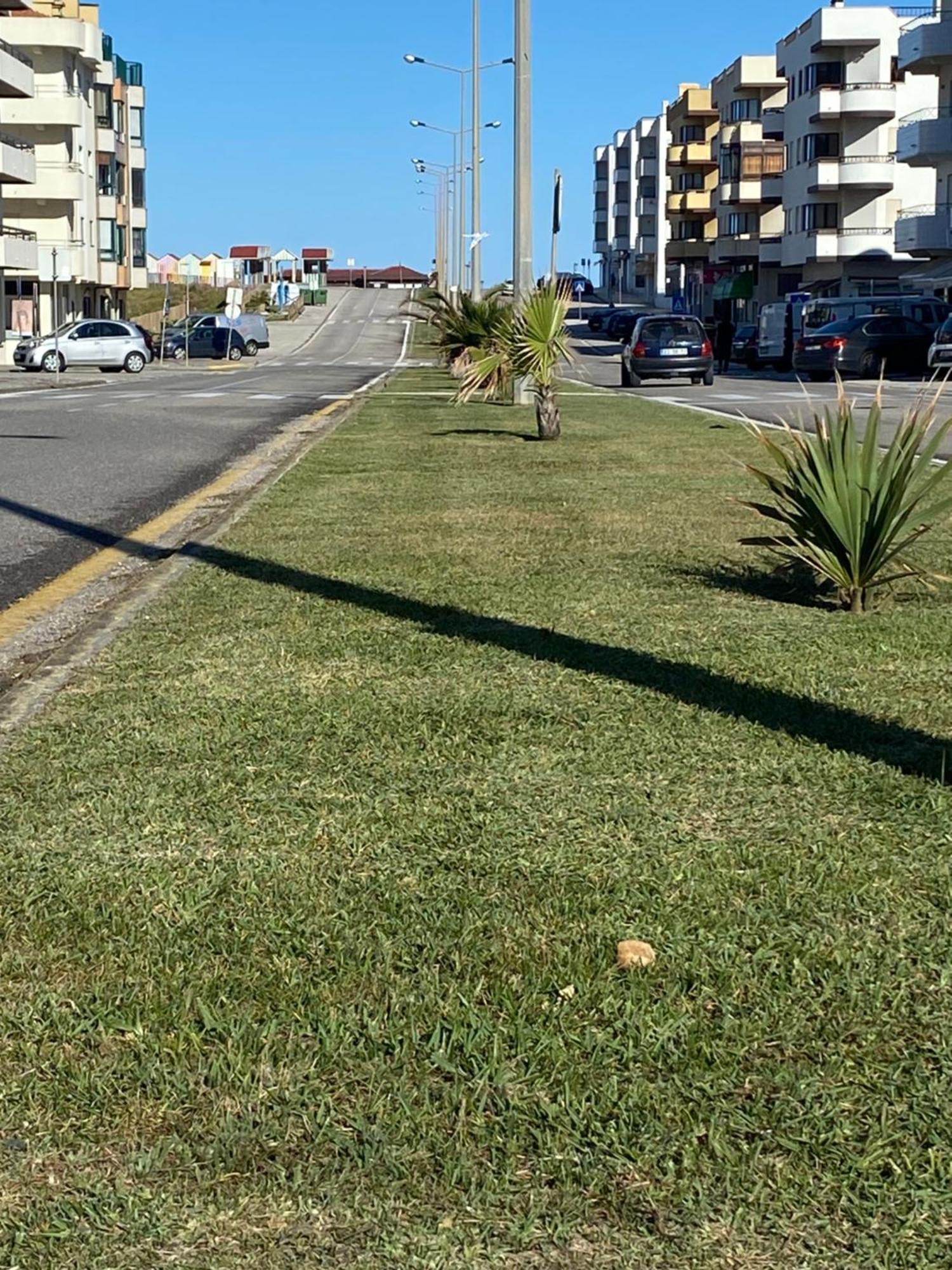 Apartamento Vista Mar Vieira de Leiria Buitenkant foto